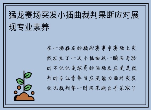 猛龙赛场突发小插曲裁判果断应对展现专业素养